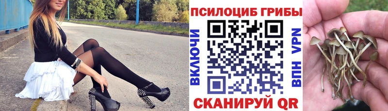 Псилоцибиновые грибы MAGIC MUSHROOMS  Людиново 